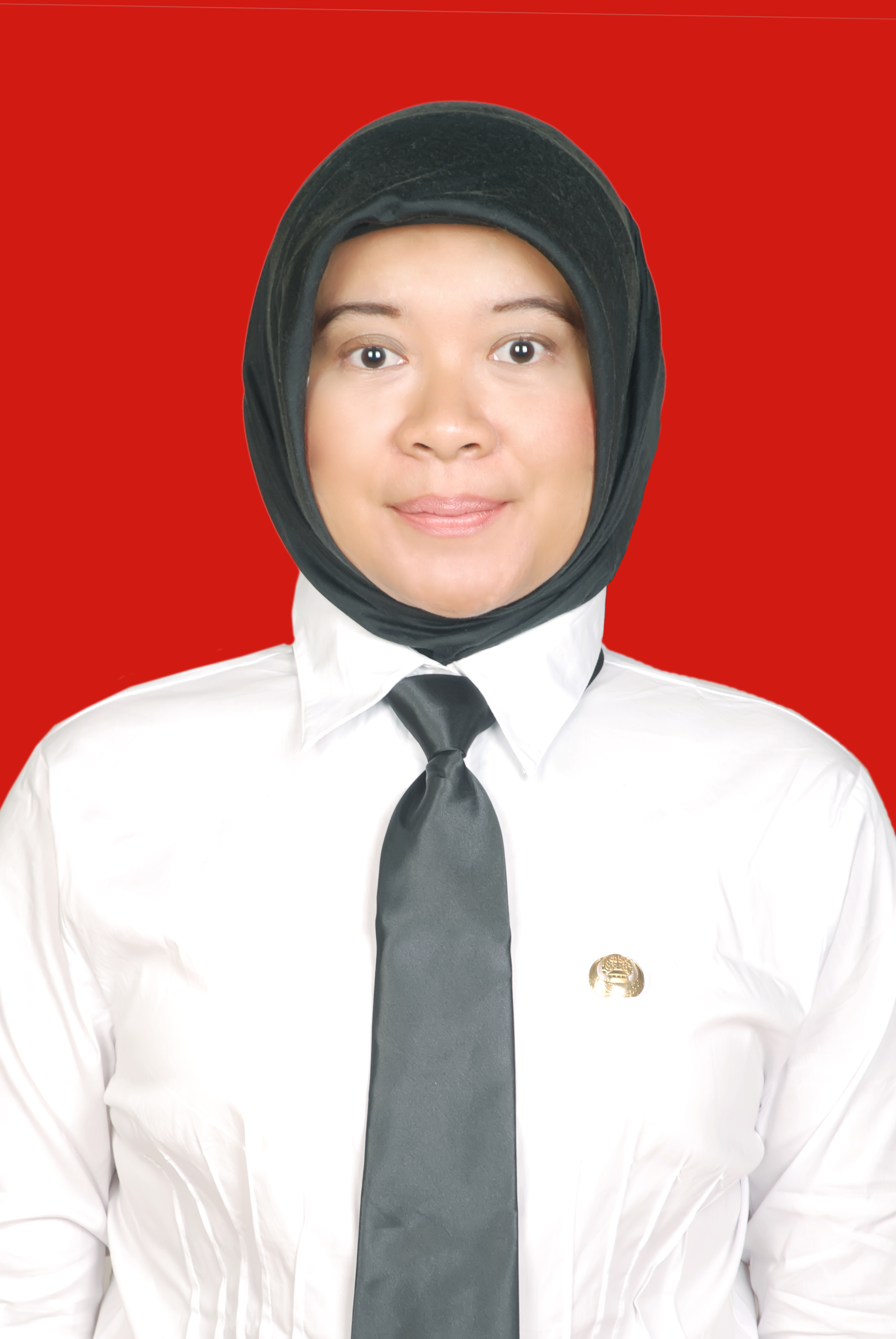 https://sc.pakki.org/storage/anggota/bageur-240305092741.jpeg