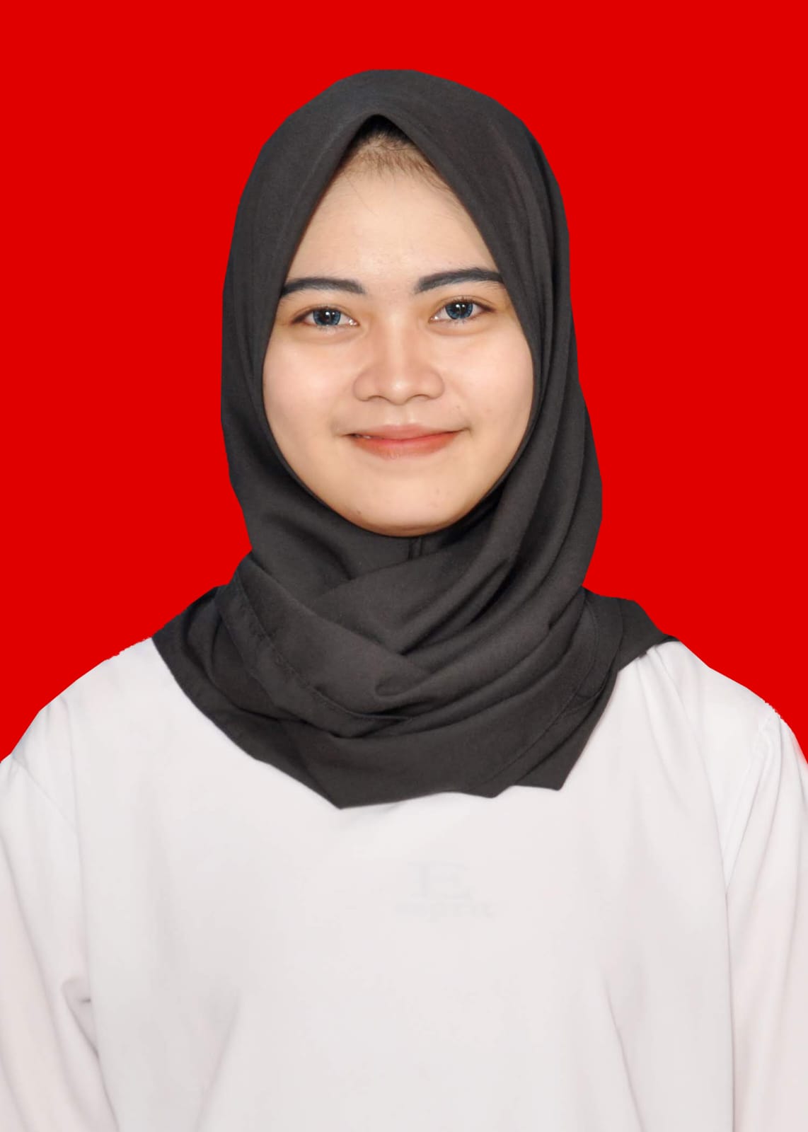 https://sc.pakki.org/storage/anggota/bageur-240314103201.jpeg