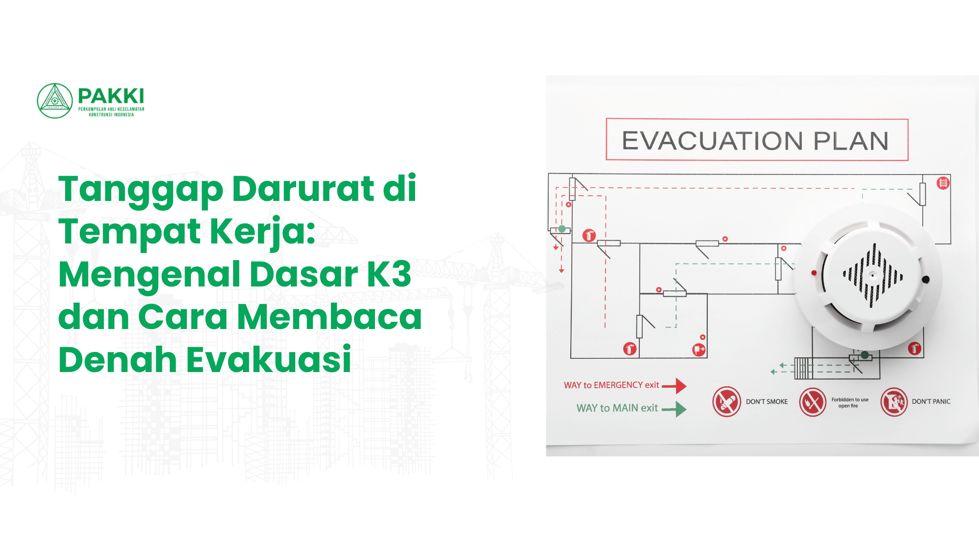 https://sc.pakki.org/storage/artikel/16322416782998.png